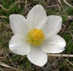 Places remaining on John's spring tours